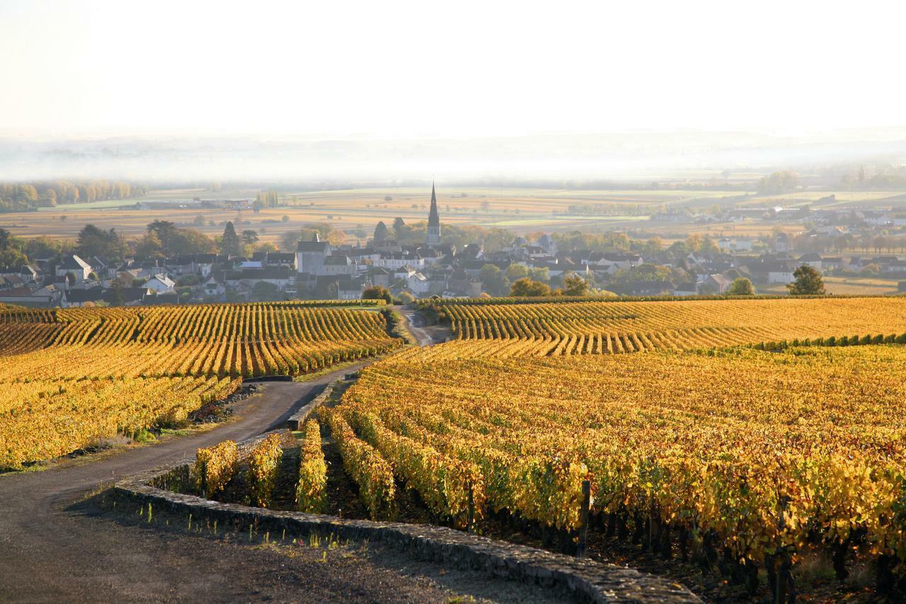Clos Saint Jacques - Maison D'Hotes Meursault Eksteriør bilde